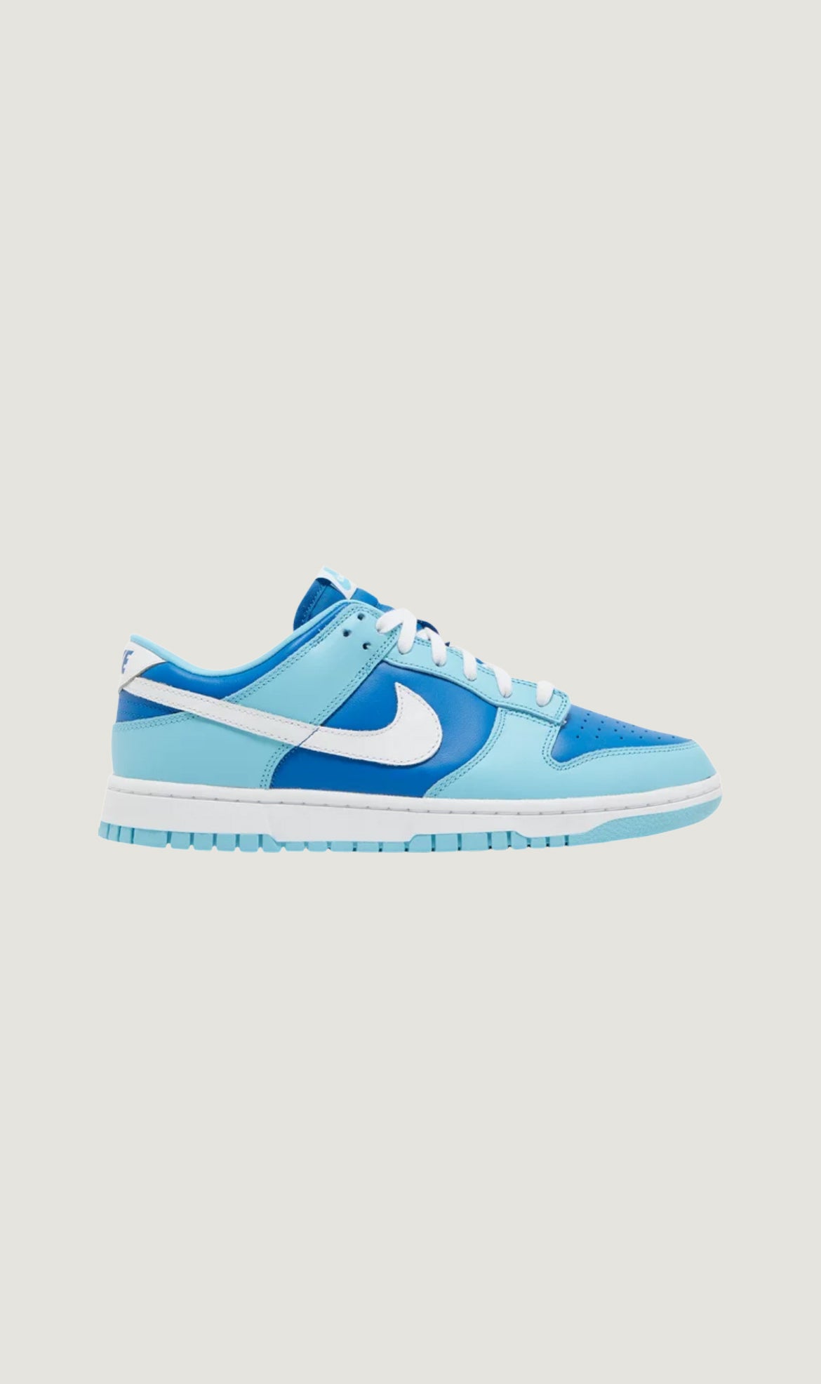DUNK LOW RETRO QS - ARGON