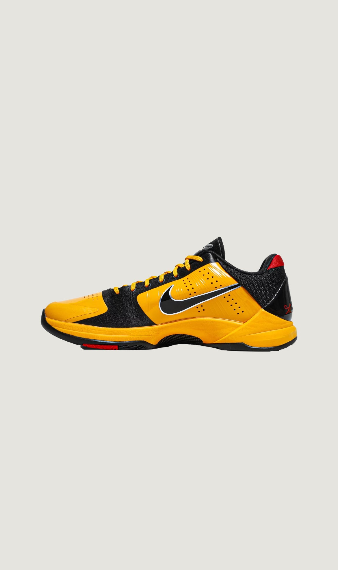將圖像加載到圖庫查看器中，ZOOM KOBE 5 PROTRO - BRUCE LEE
